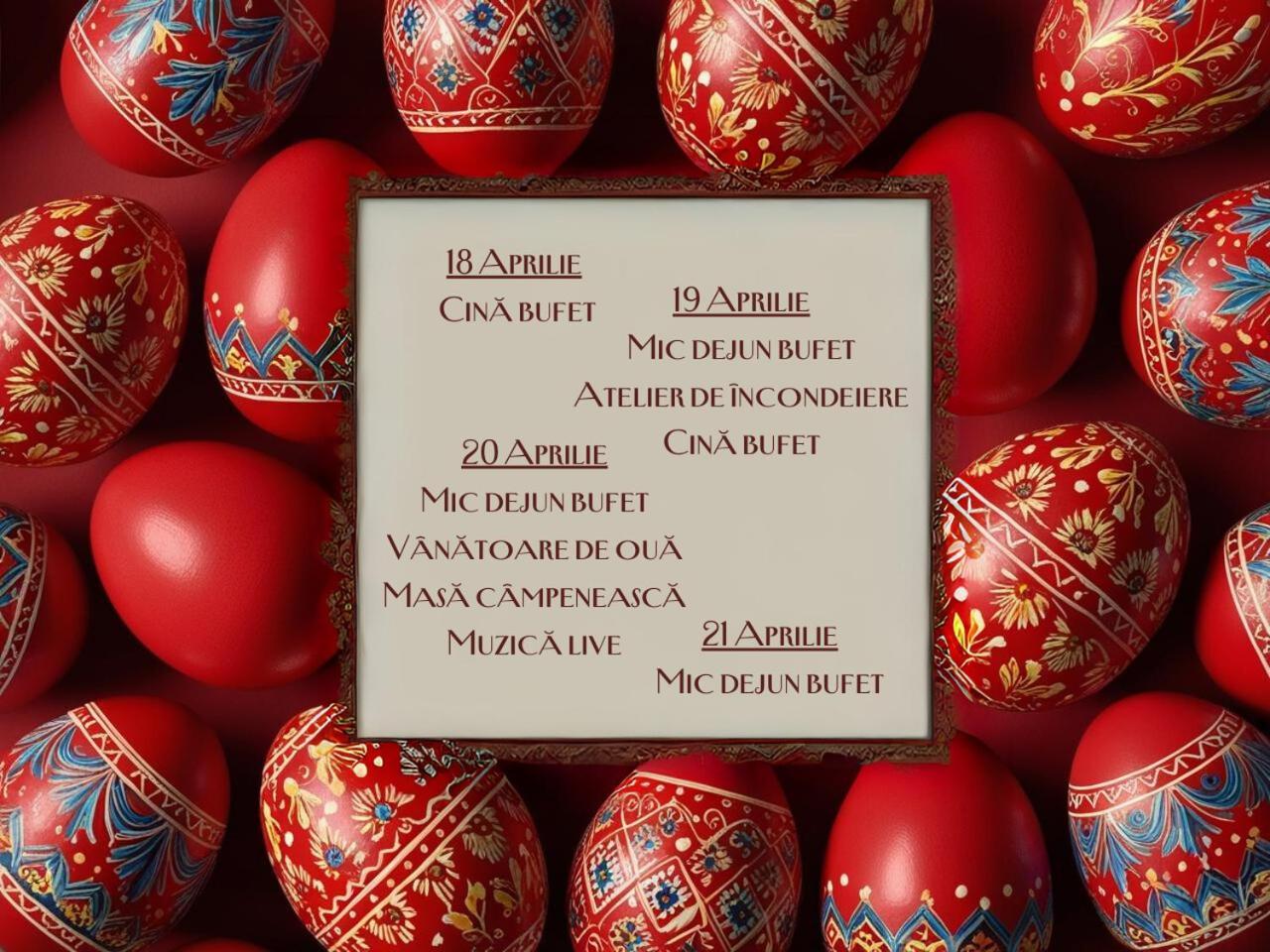 Hotel Alpin Rarau Moldvahosszúmező Kültér fotó